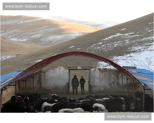 红色风暴正撞金州残阳：2月6日，休斯敦与大通中心的宿命博弈