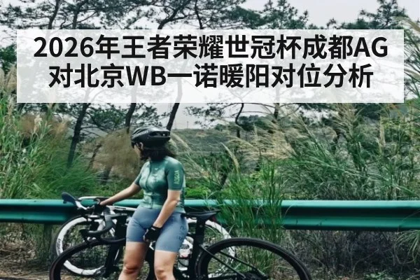 2026年王者荣耀世冠杯成都AG对北京WB一诺暖阳对位分析 - kaiyun